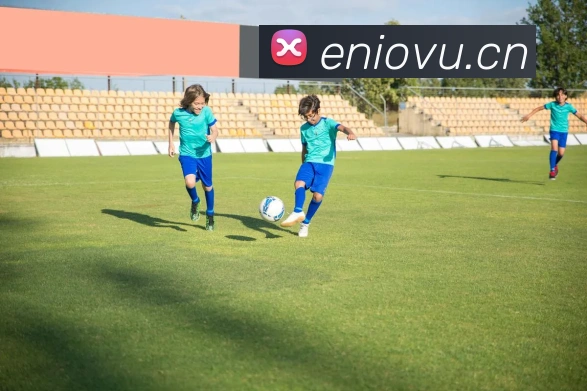 kaiyun开云官方网站发展历程